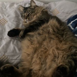 Meet your Posher, Jay